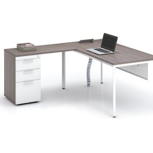 LM-Collections-01.jpg